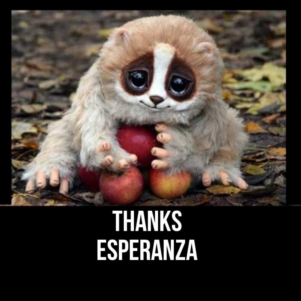 Greetings card с именем, Esperanza Thanks прикольное животное Greetings with text for free download 