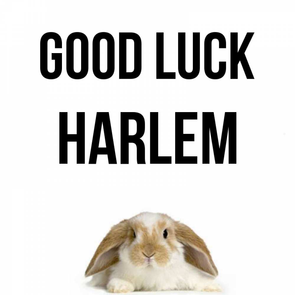 Greetings card с именем, Harlem Good luck открытки с произвольным текстом который можно вставить в открытку и создать ее самостоятельно бесплатно онлайн Greetings with text for free download 