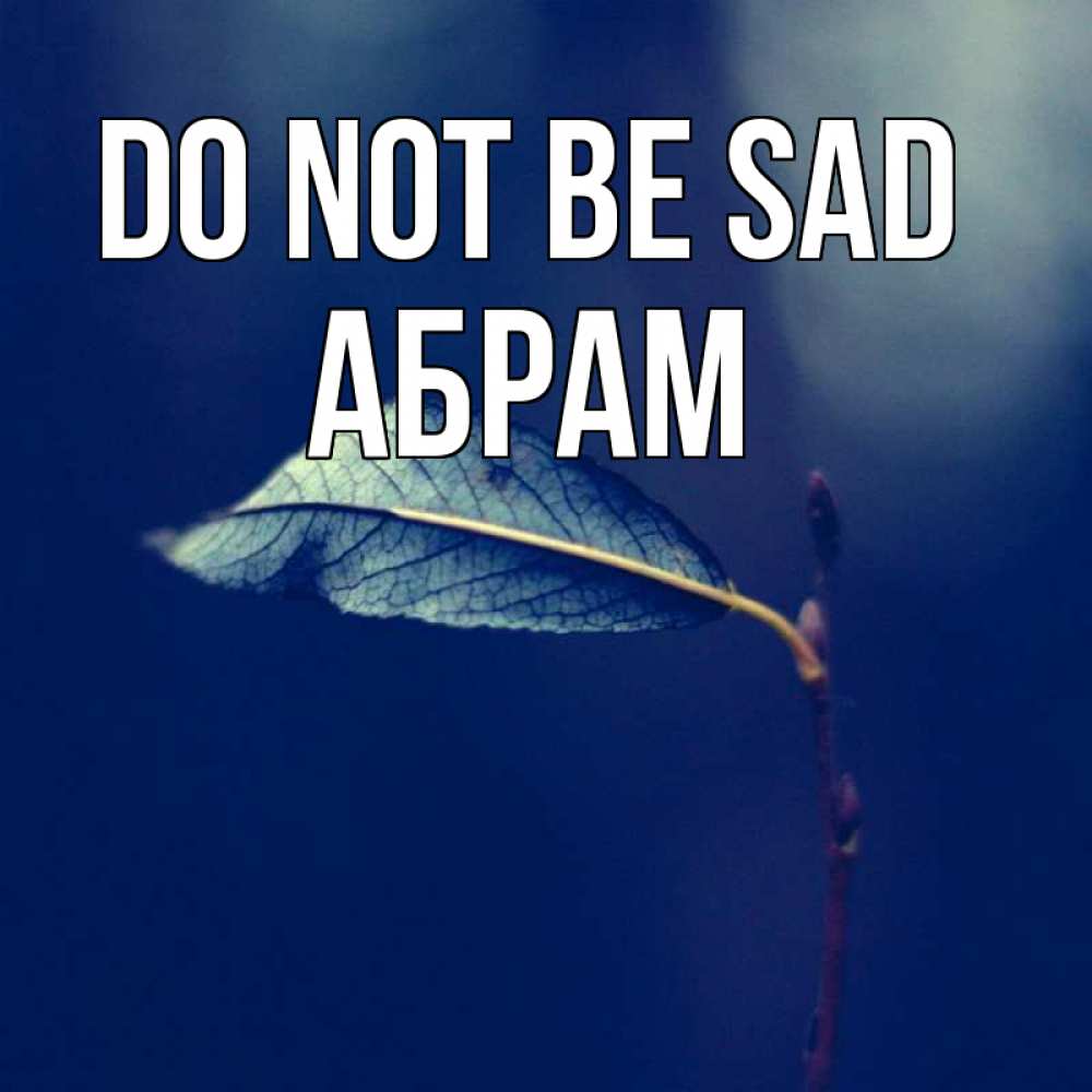 Greetings card с именем, Абрам Do not be sad растение Greetings with text for free download 