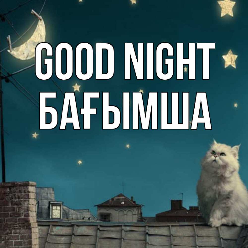Greetings card с именем, БАҒЫМША Good night белый кот сидит на крыше Greetings with text for free download 