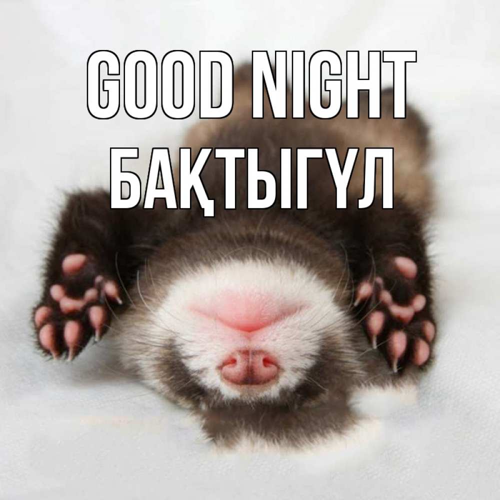 Greetings card с именем, БАҚТЫГҮЛ Good night зверек Greetings with text for free download 
