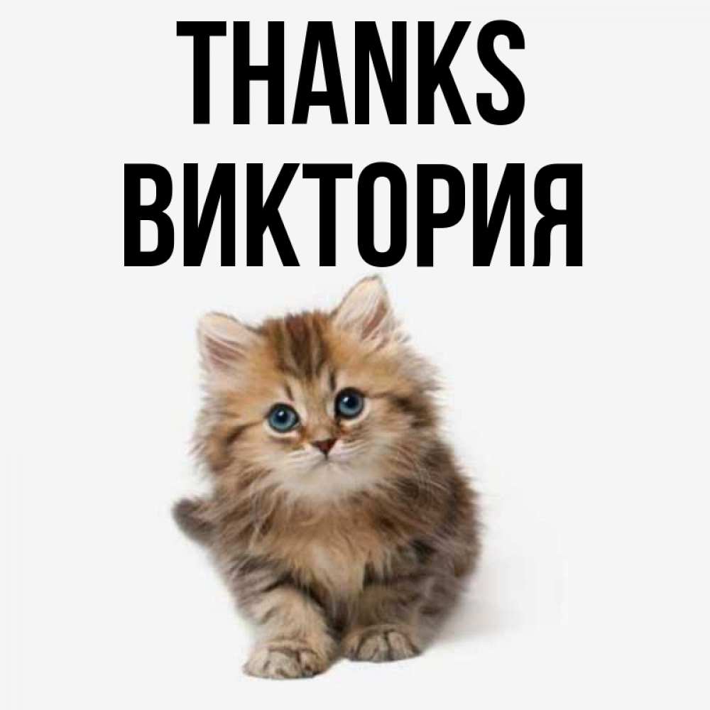 Greetings card с именем, Виктория Thanks пушистый котик Greetings with text for free download 