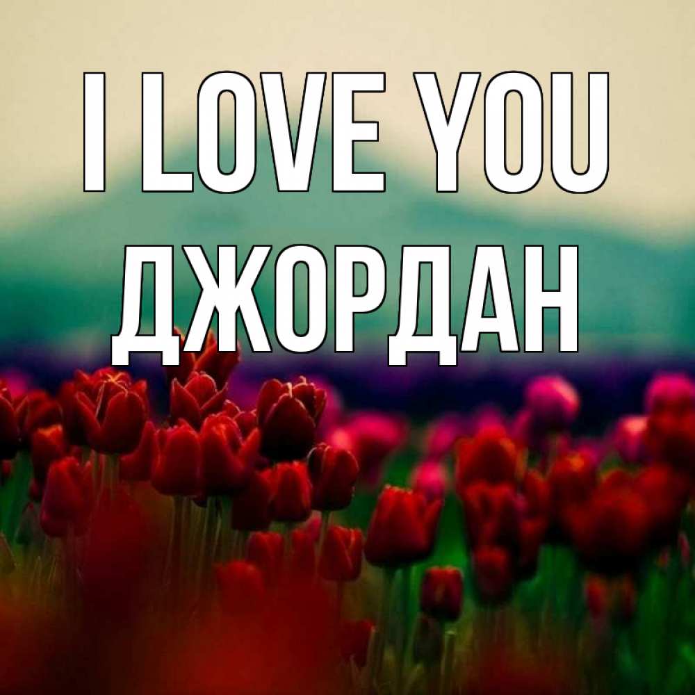 Greetings card с именем, Джордан I love you тюльпаны 4 Greetings with text for free download 