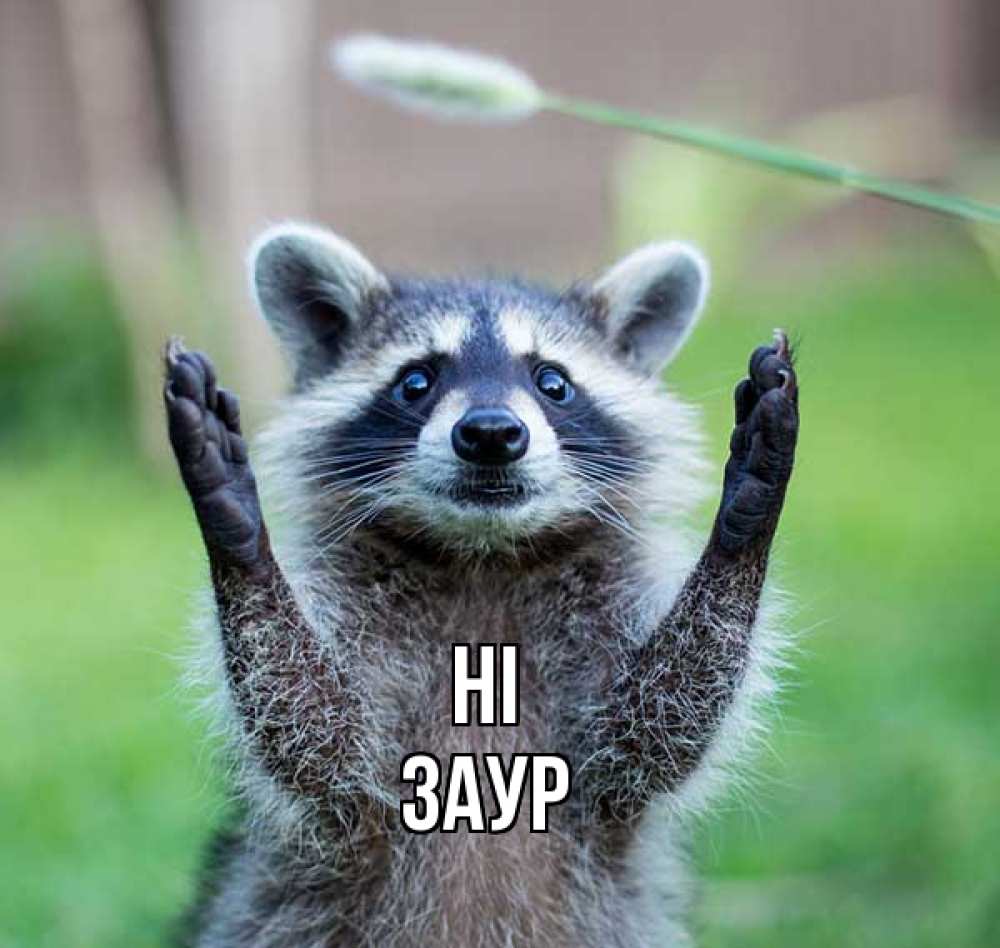 Greetings card с именем, Заур Hi животные Greetings with text for free download 