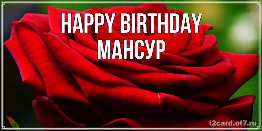 Greetings card с именем, Мансур Happy Birthday розочка очень красивая Greetings with text for free download 