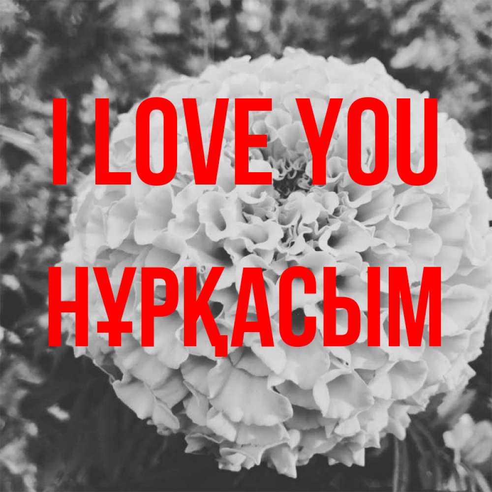 Greetings card с именем, НҰРҚАСЫМ I love you подпись Greetings with text for free download 