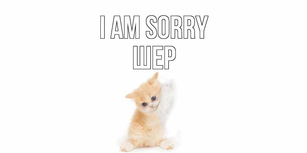 Greetings card с именем, ШЕР I am sorry кот Greetings with text for free download 