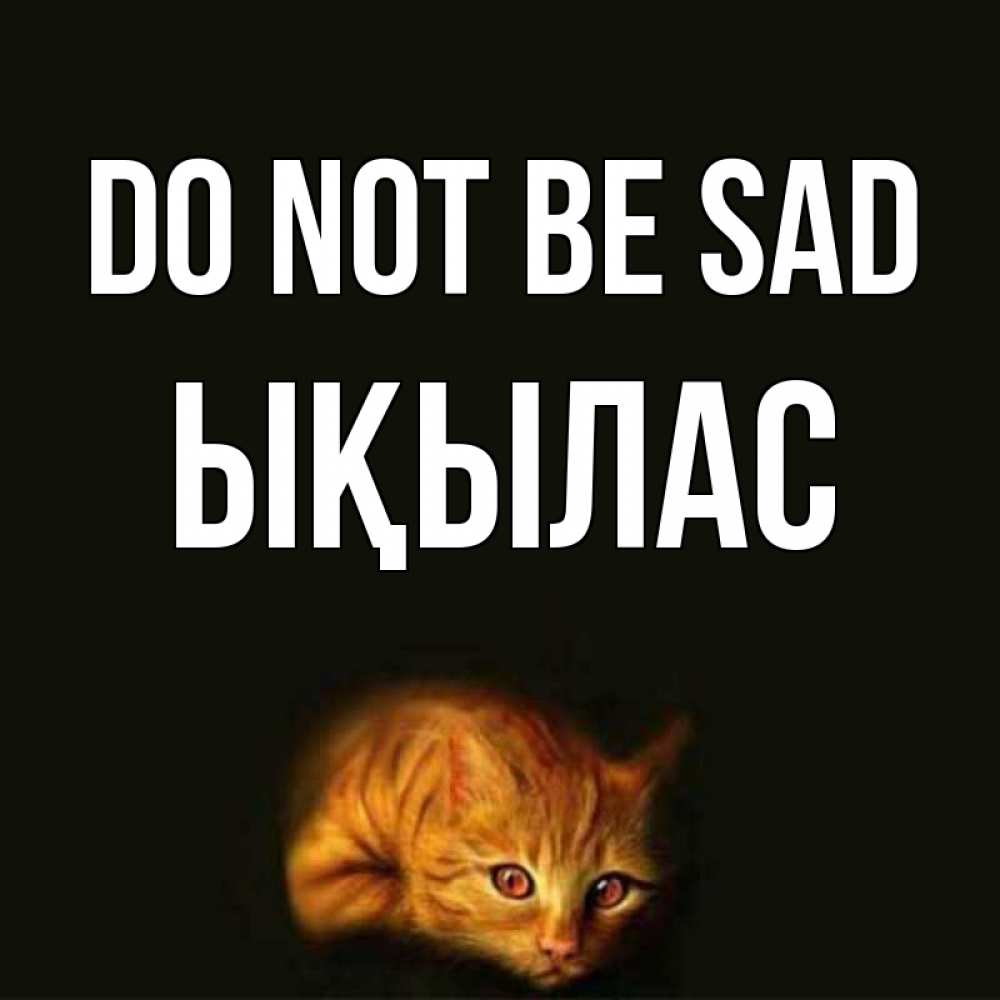 Greetings card с именем, ЫҚЫЛАС Do not be sad лежащий кот в темноте Greetings with text for free download 