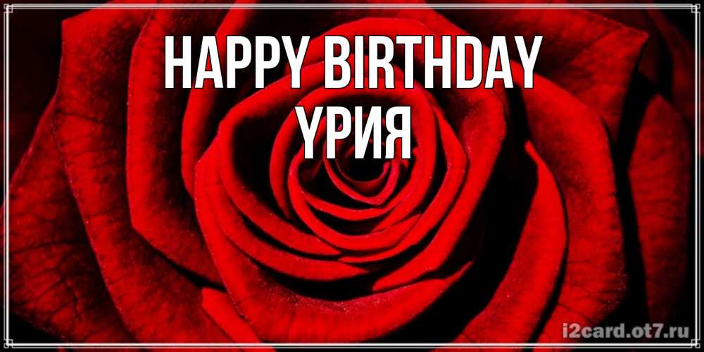 Greetings card с именем, ҮРИЯ Happy Birthday алая роза Greetings with text for free download 