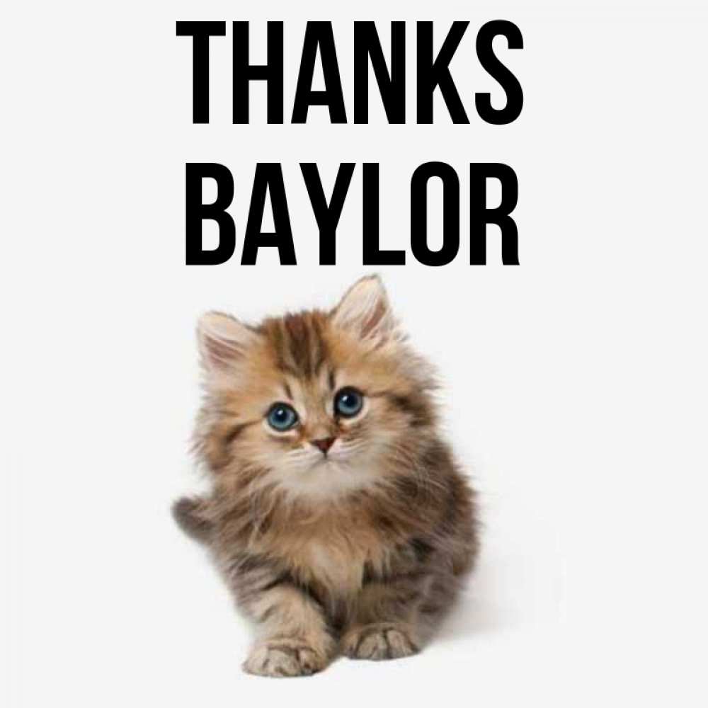 Greetings card с именем, Baylor Thanks пушистый котик Greetings with text for free download 