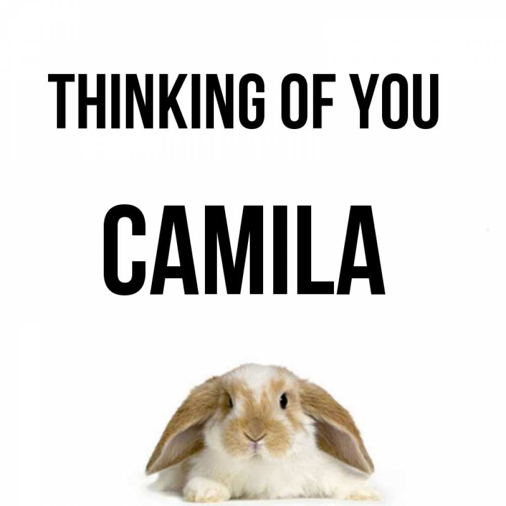 Greetings card с именем, Camila Thinking of you подписать своими руками онлайн Greetings with text for free download 