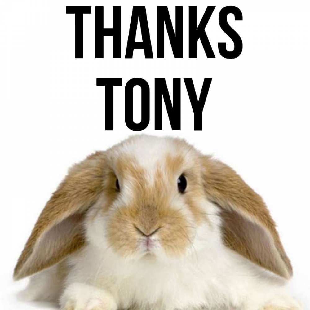 Greetings card с именем, Tony Thanks коричнево белый заяц Greetings with text for free download 