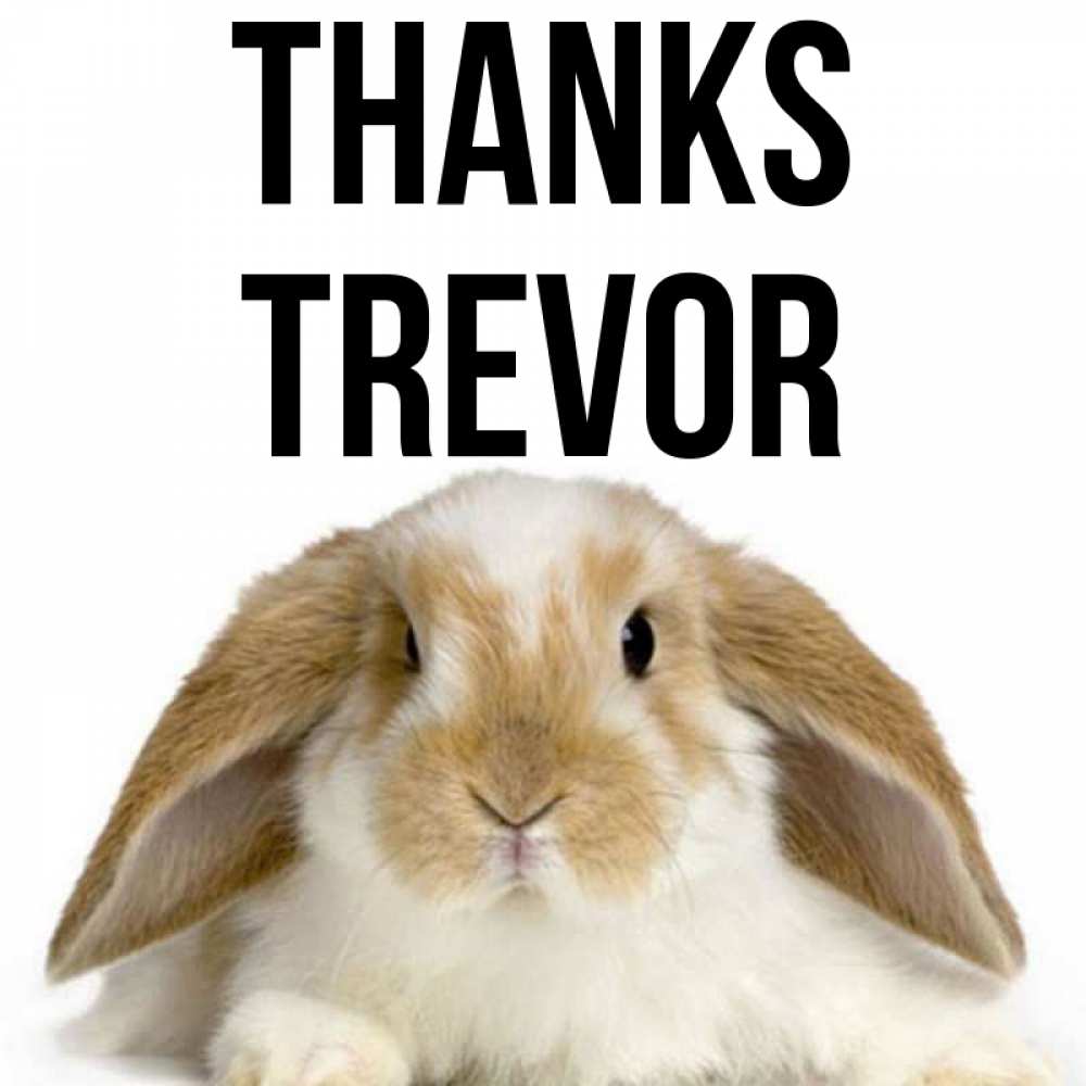 Greetings card с именем, Trevor Thanks коричнево белый заяц Greetings with text for free download 