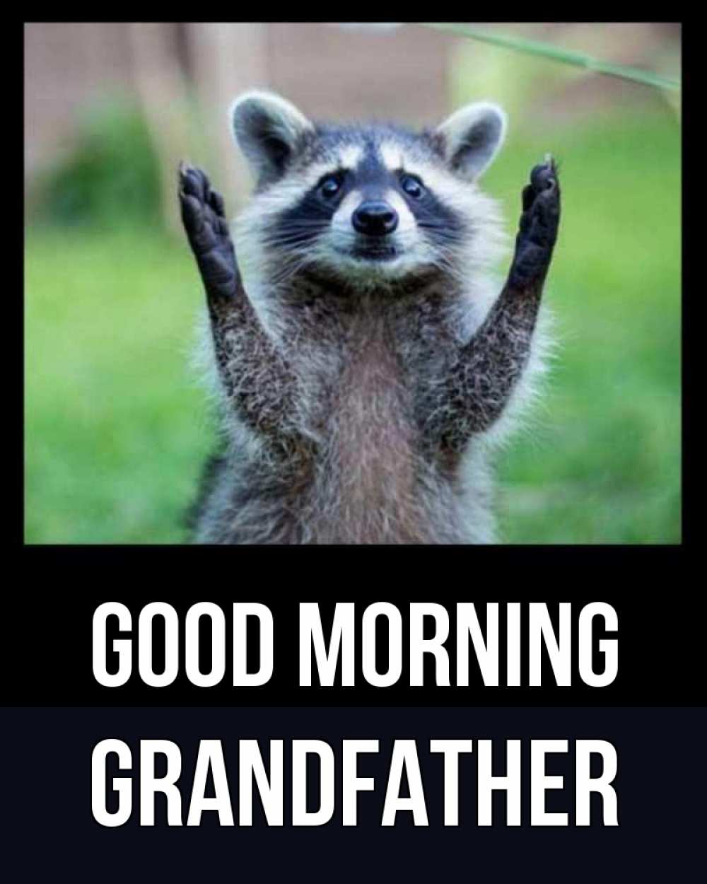 Greetings card с именем, grandfather Good morning хорошее настроение утречком Greetings with text for free download 