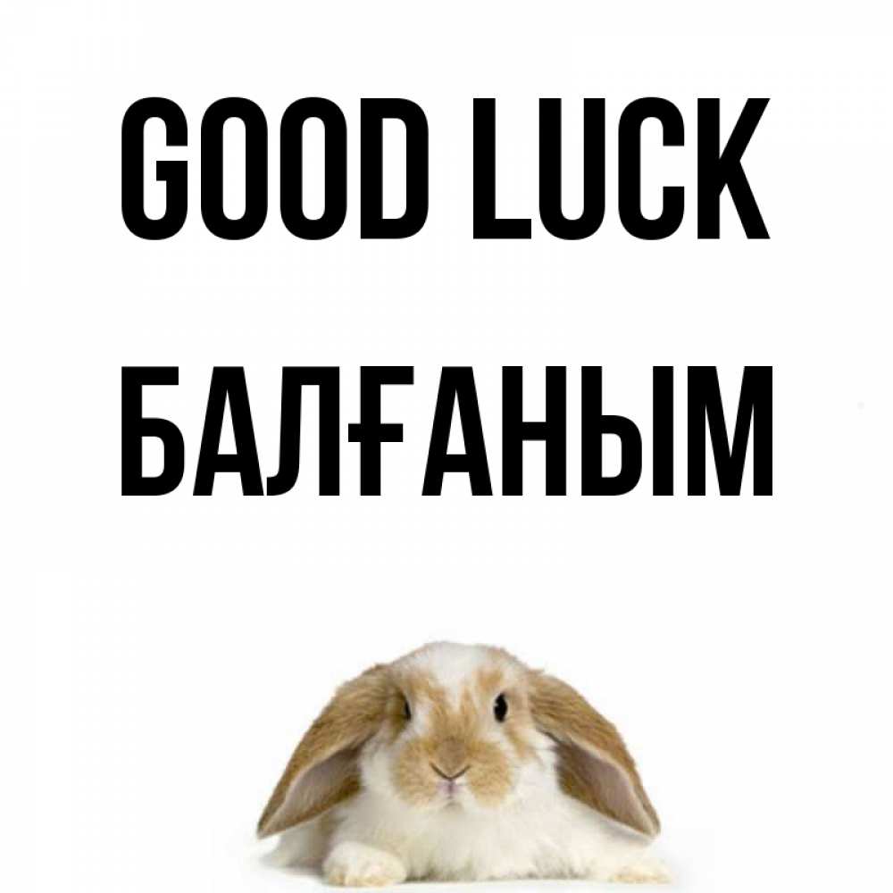 Greetings card с именем, БАЛҒАНЫМ Good luck открытки с произвольным текстом который можно вставить в открытку и создать ее самостоятельно бесплатно онлайн Greetings with text for free download 