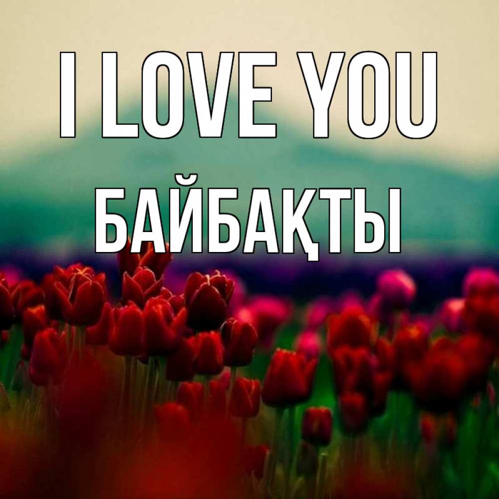Greetings card с именем, Байбақты I love you тюльпаны 4 Greetings with text for free download 