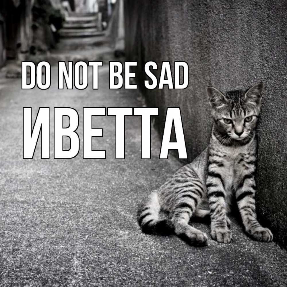 Greetings card с именем, Иветта Do not be sad скучающий котик Greetings with text for free download 