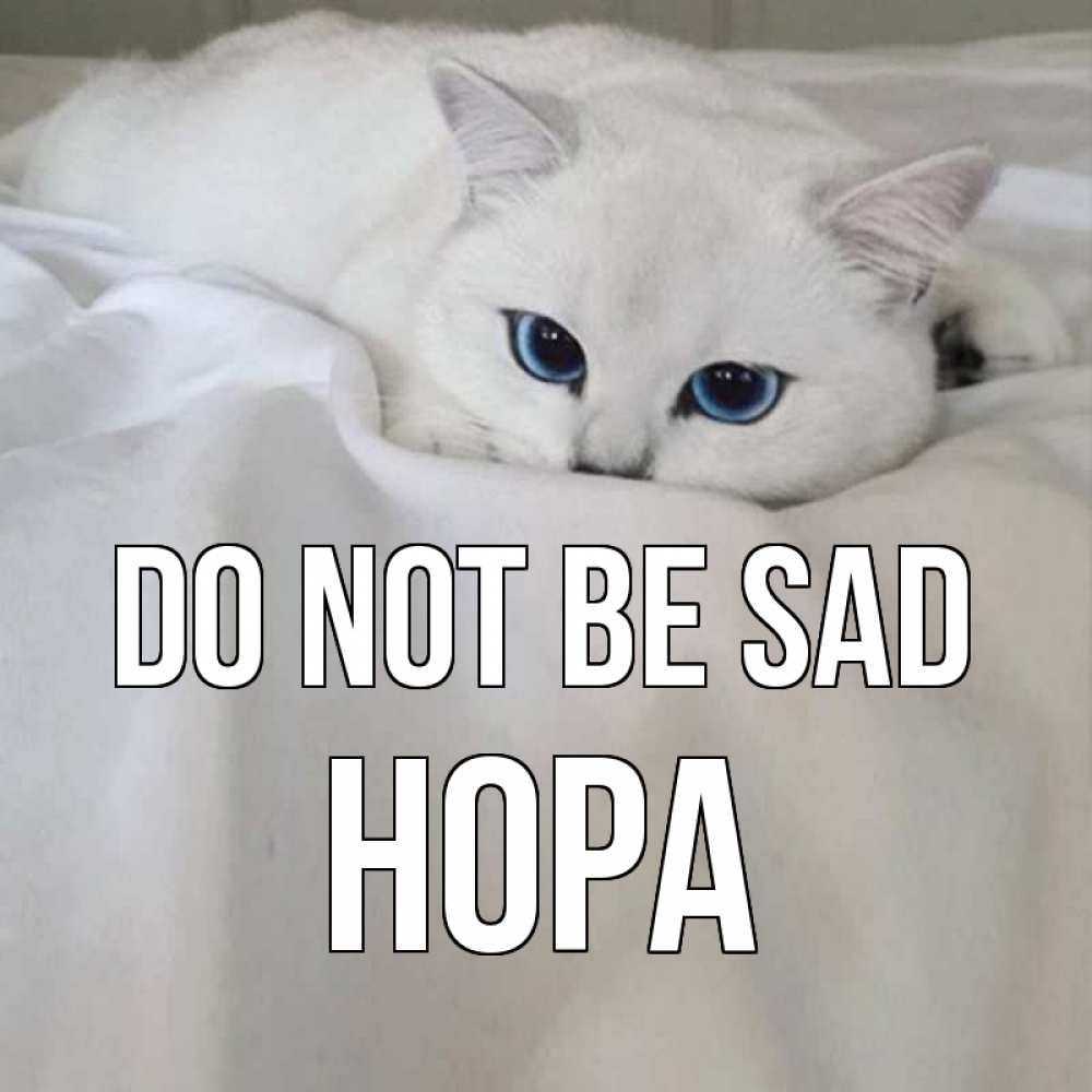 Greetings card с именем, Нора Do not be sad белый кот с голубыми глазами на белоснежной кровати Greetings with text for free download 