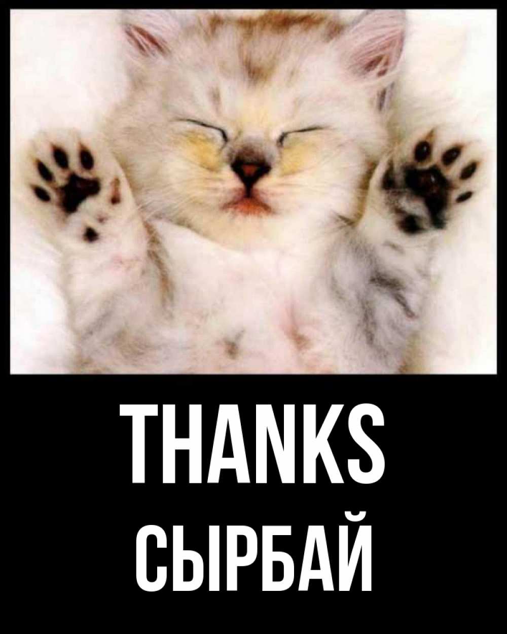 Greetings card с именем, СЫРБАЙ Thanks маленький котенок Greetings with text for free download 