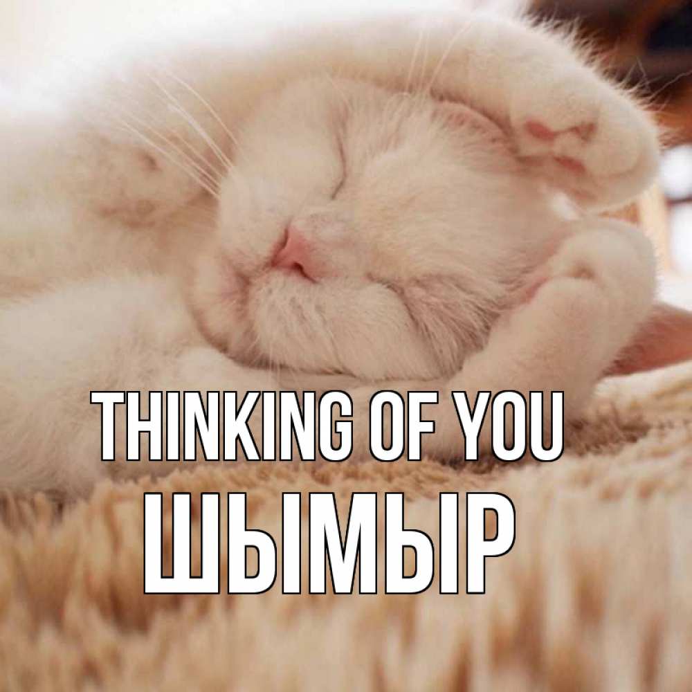Greetings card с именем, ШЫМЫР Thinking of you для любимой девушки милота Greetings with text for free download 