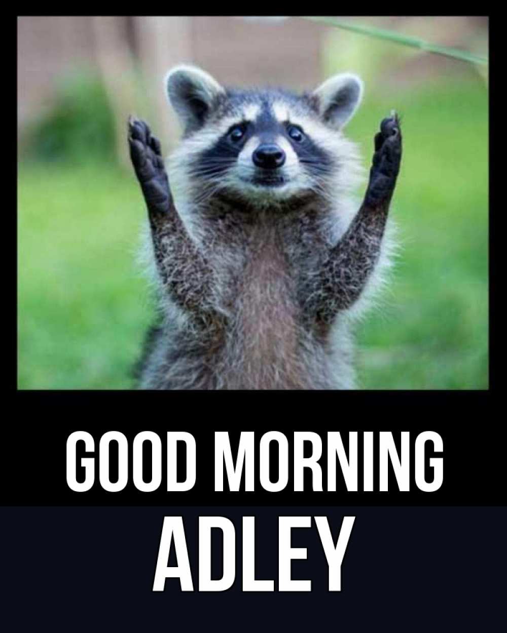 Greetings card с именем, Adley Good morning хорошее настроение утречком Greetings with text for free download 