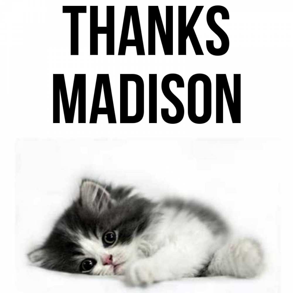 Greetings card с именем, Madison Thanks черный и белый кот Greetings with text for free download 