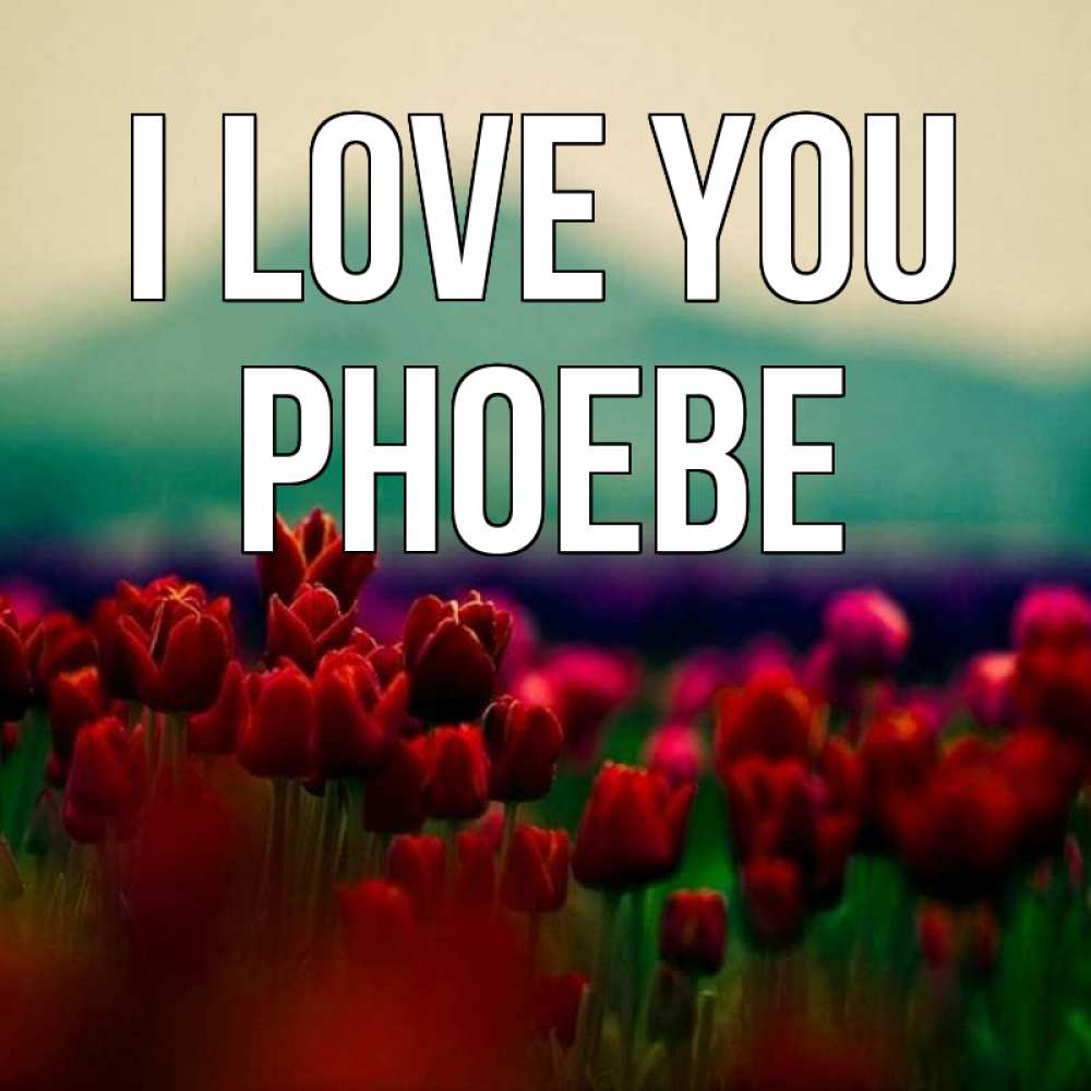 Greetings card с именем, Phoebe I love you тюльпаны 4 Greetings with text for free download 
