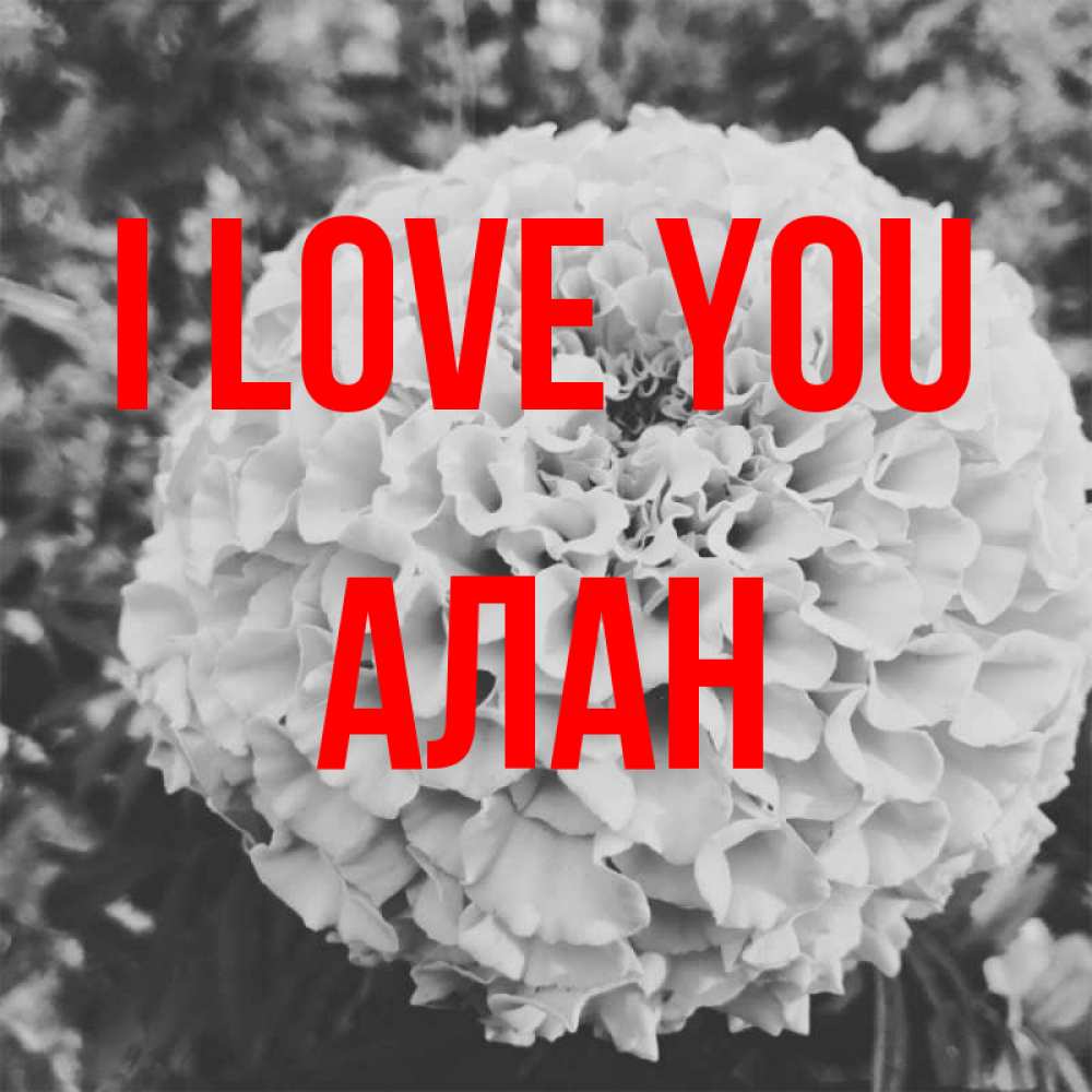 Greetings card с именем, Алан I love you подпись Greetings with text for free download 