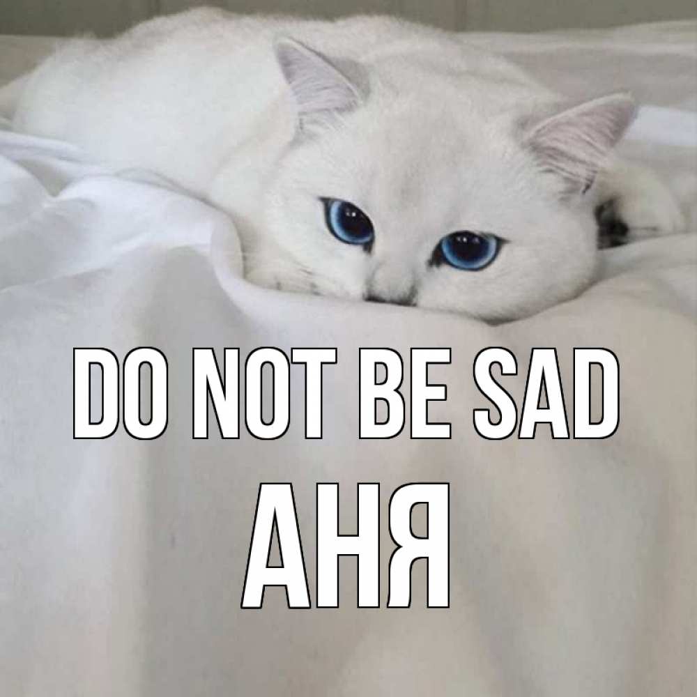 Greetings card с именем, Аня Do not be sad белый кот с голубыми глазами на белоснежной кровати Greetings with text for free download 