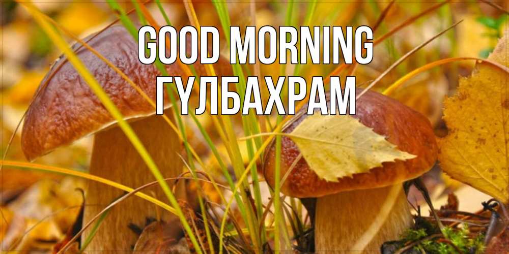 Greetings card с именем, ГҮЛБАХРАМ Good morning осенние грибы Greetings with text for free download 