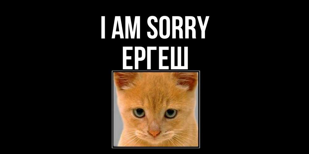 Greetings card с именем, Ергеш I am sorry рыжий грустный кот просит прощения Greetings with text for free download 
