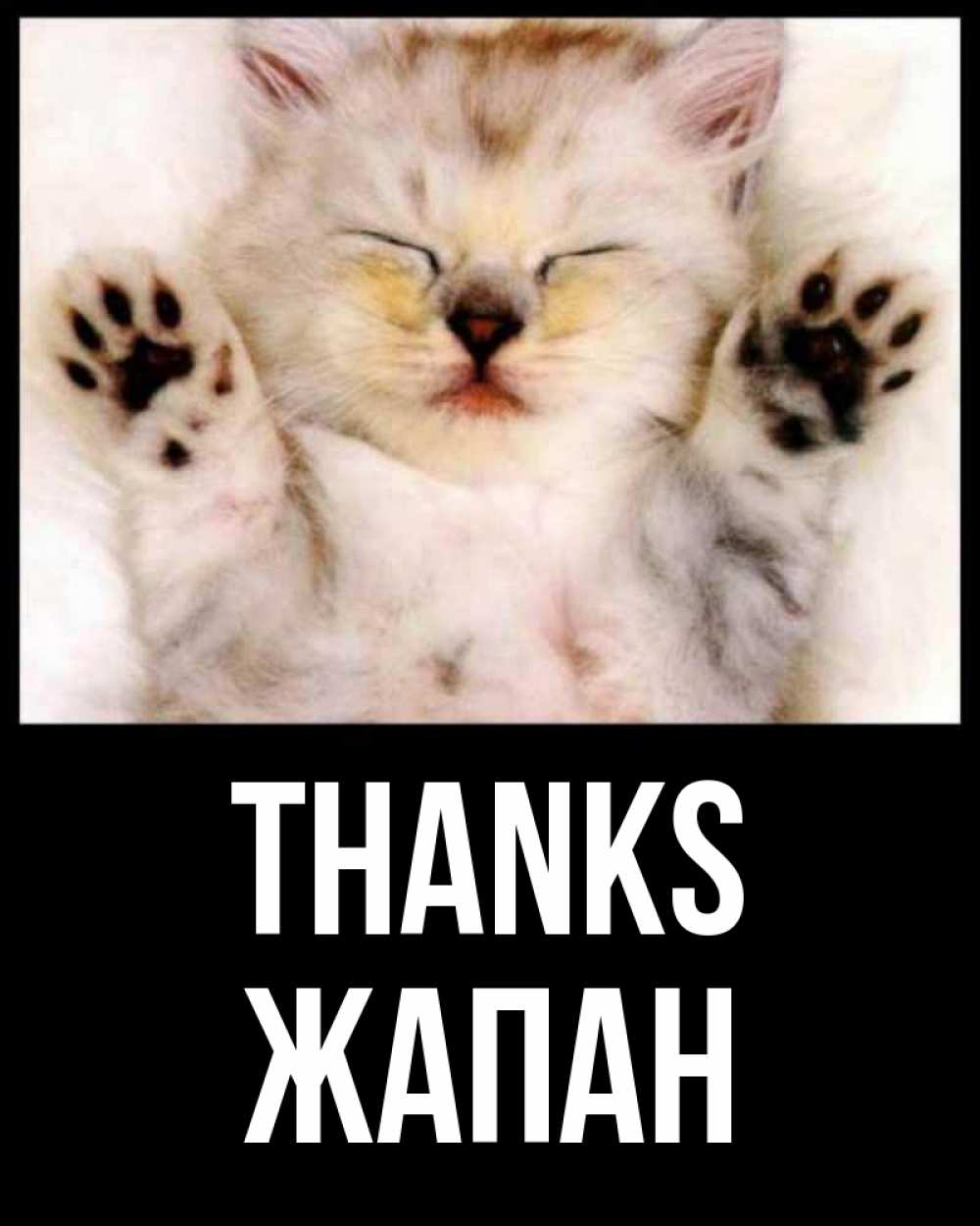 Greetings card с именем, Жапан Thanks маленький котенок Greetings with text for free download 