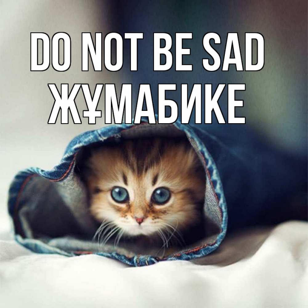 Greetings card с именем, ЖҰМАБИКЕ Do not be sad рыжик котик Greetings with text for free download 