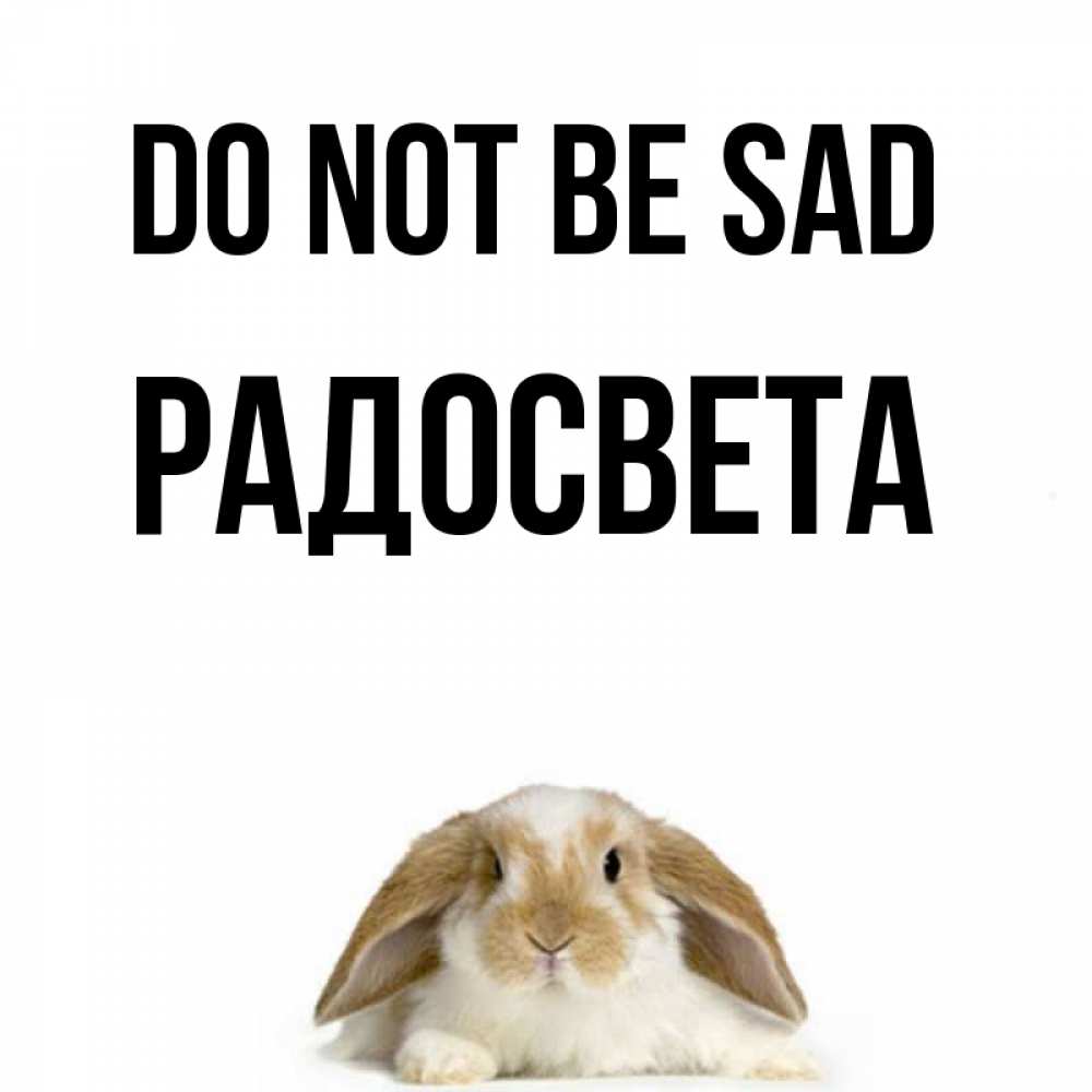 Greetings card с именем, Радосвета Do not be sad коричнево белый заяц с большими ушками Greetings with text for free download 