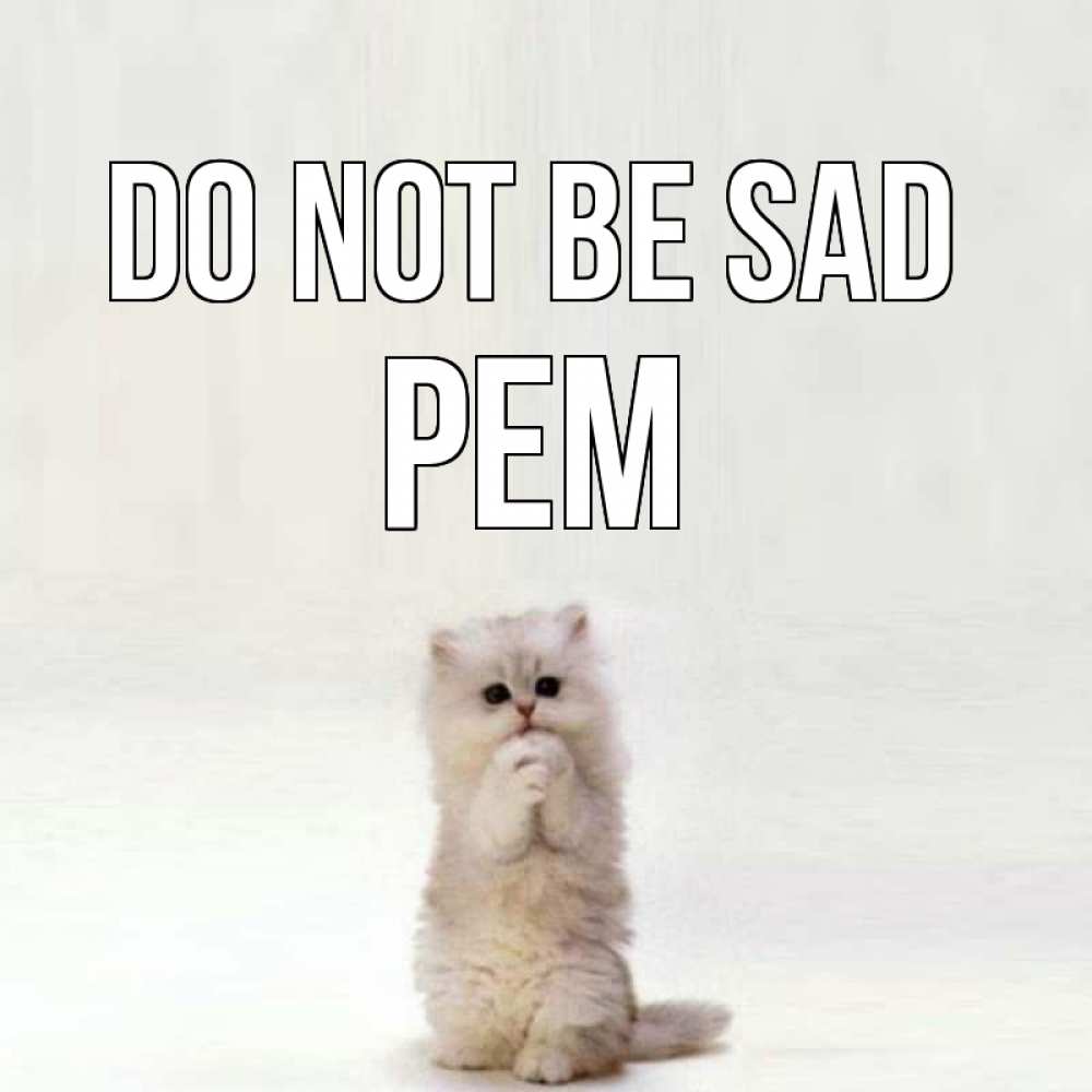 Greetings card с именем, Рем Do not be sad грустный кот Greetings with text for free download 