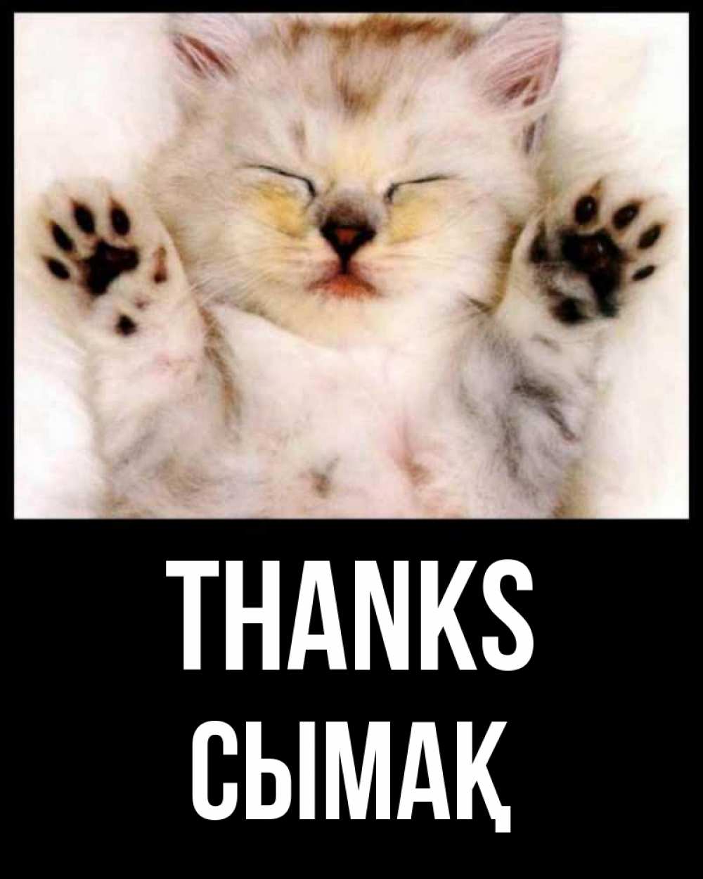Greetings card с именем, СЫМАҚ Thanks маленький котенок Greetings with text for free download 