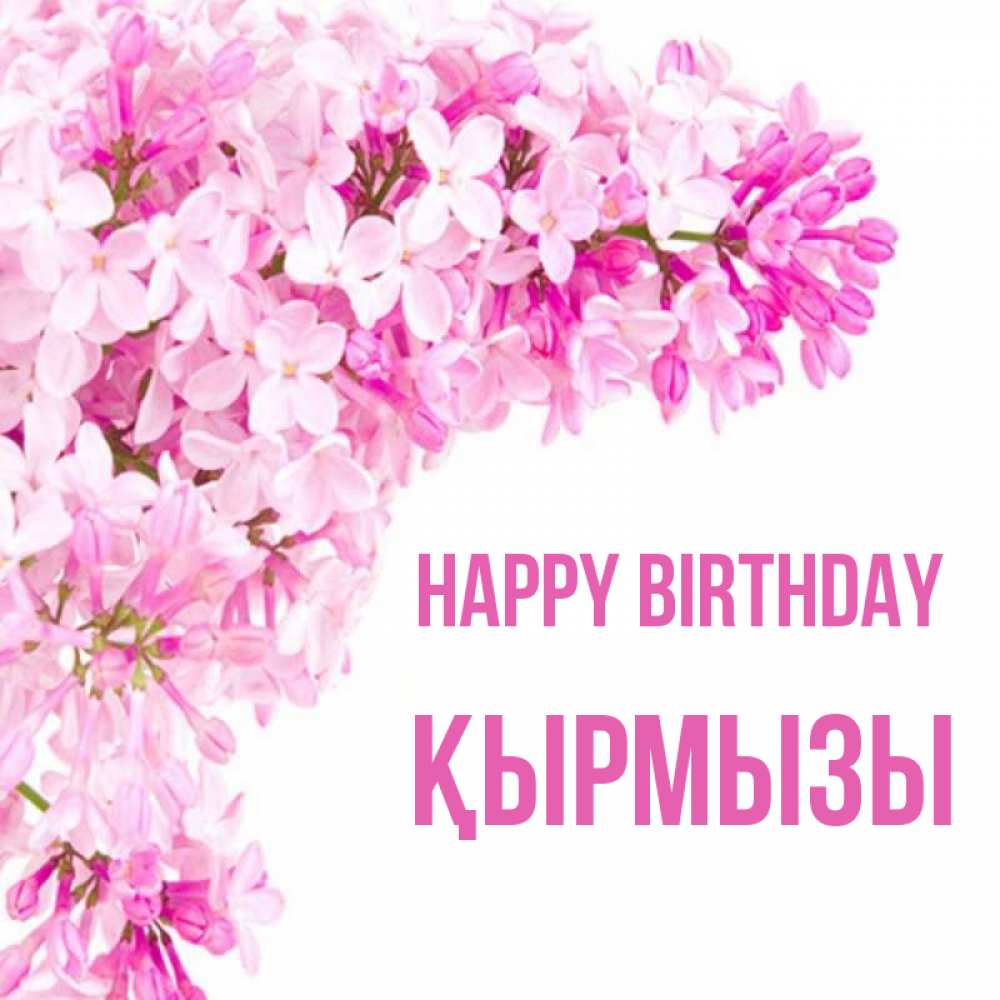 Greetings card с именем, ҚЫРМЫЗЫ Happy Birthday Сирень на белом фоне Greetings with text for free download 