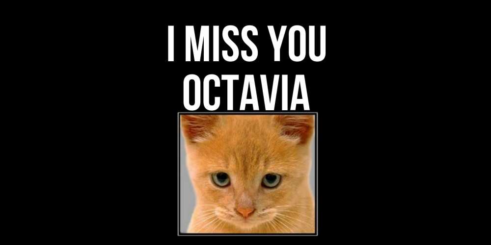 Greetings card с именем, Octavia I miss you открытки рыжий котенок скучает по тебе Greetings with text for free download 