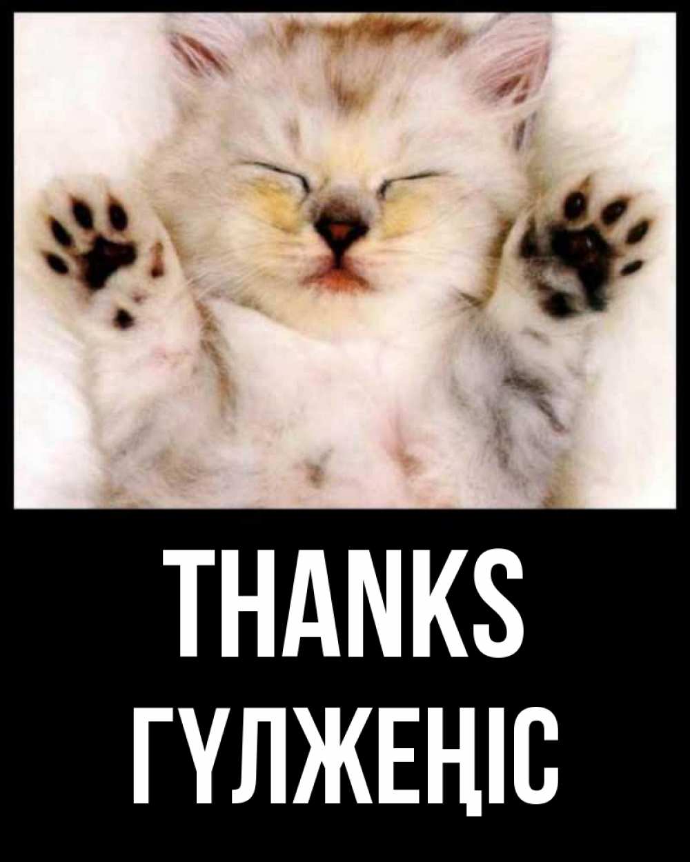 Greetings card с именем, ГҮЛЖЕҢІС Thanks маленький котенок Greetings with text for free download 