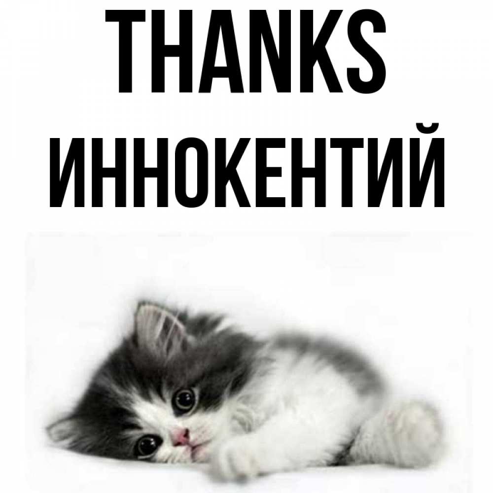 Greetings card с именем, Иннокентий Thanks черный и белый кот Greetings with text for free download 