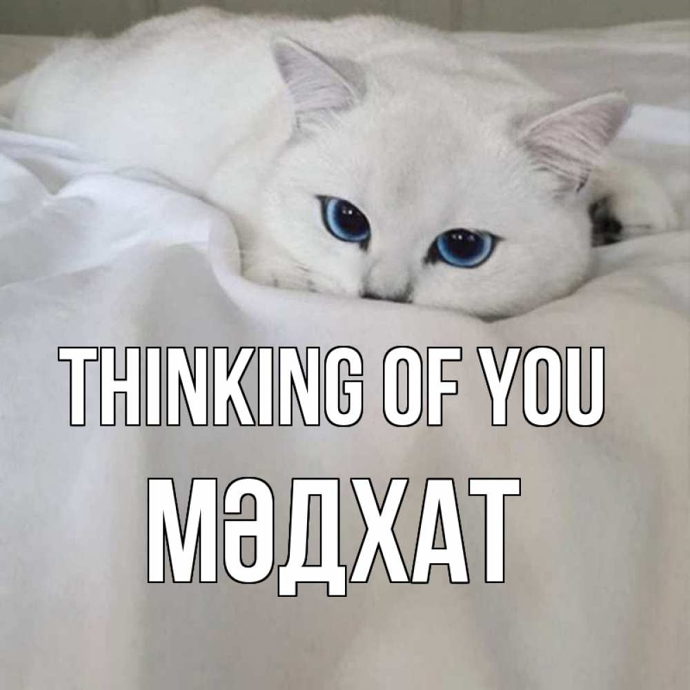 Greetings card с именем, МӘДХАТ Thinking of you я очень по тебе скучаю и тоскую Greetings with text for free download 
