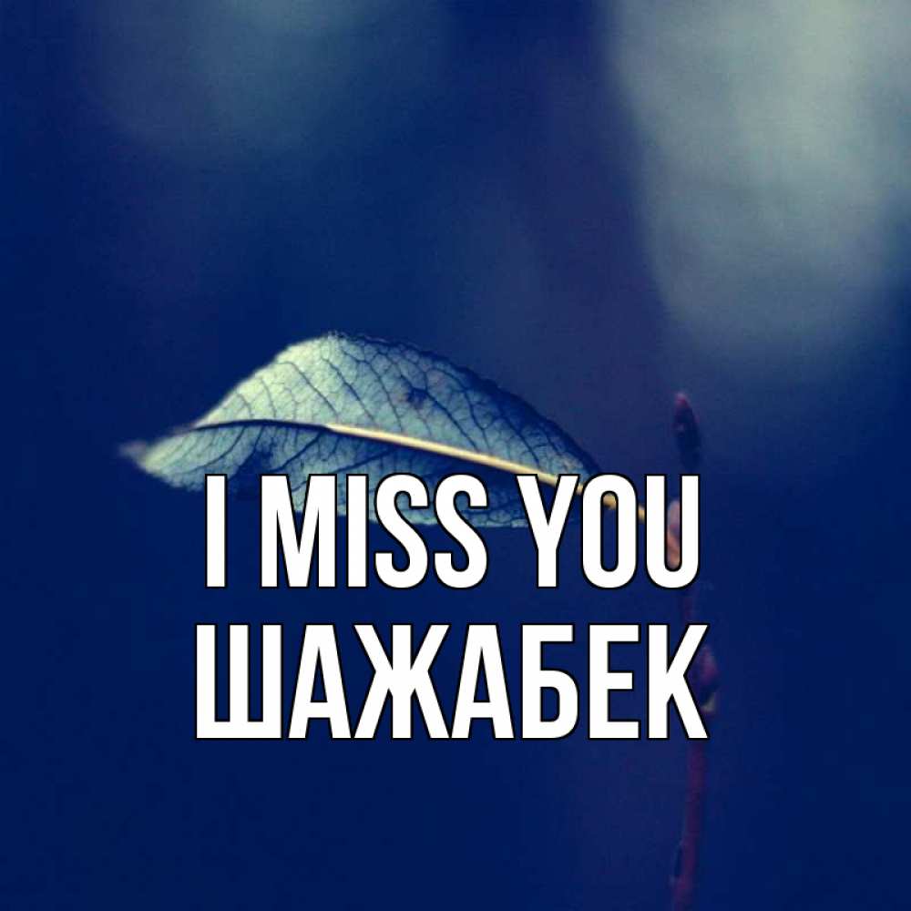 Greetings card с именем, ШАЖАБЕК I miss you одна ветка 1 Greetings with text for free download 