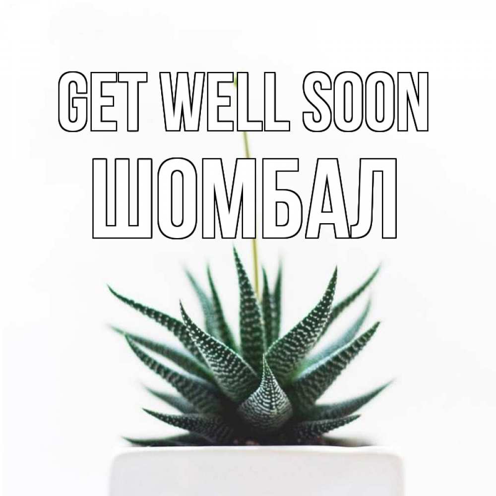 Greetings card с именем, ШОМБАЛ Get well soon короче это непонятная колючка Greetings with text for free download 