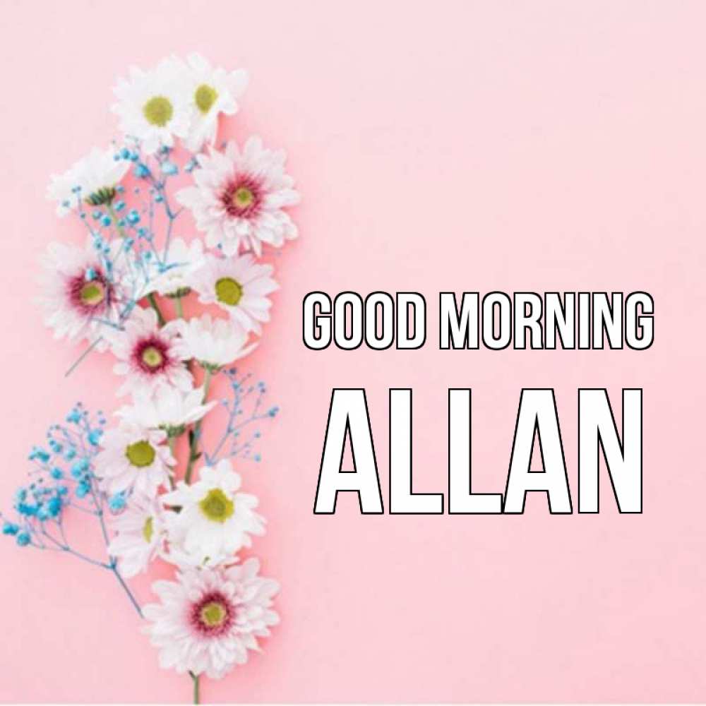Greetings card с именем, Allan Good morning цветы с подписью Greetings with text for free download 