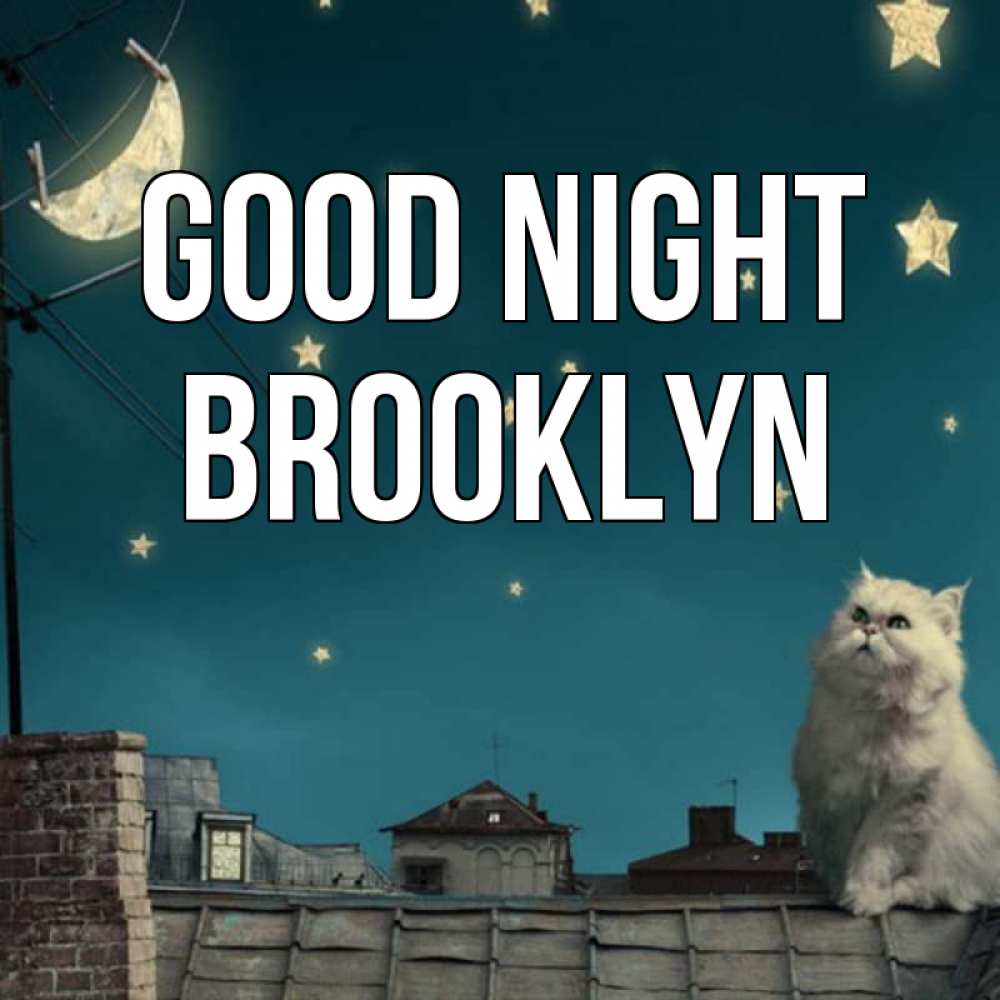 Greetings card с именем, Brooklyn Good night белый кот сидит на крыше Greetings with text for free download 