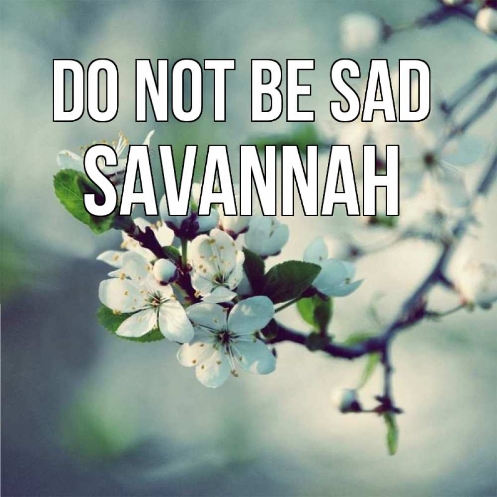 Greetings card с именем, Savannah Do not be sad яблоня в цвету 1 Greetings with text for free download 