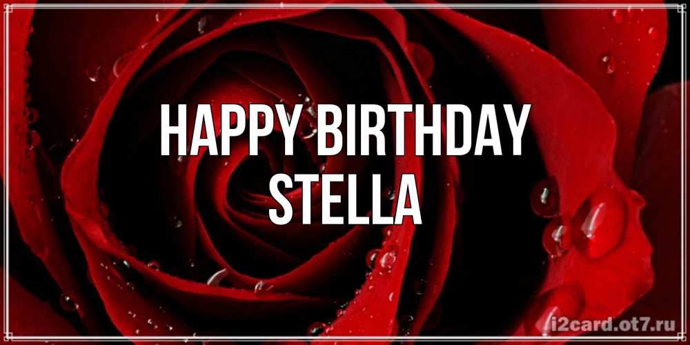 Greetings card с именем, Stella Happy Birthday крупная бордовая роза Greetings with text for free download 