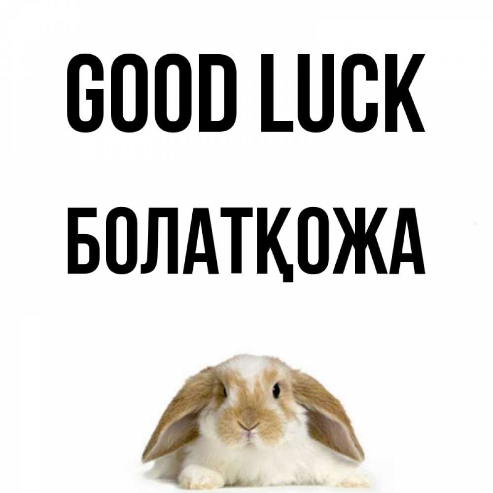 Greetings card с именем, Болатқожа Good luck открытки с произвольным текстом который можно вставить в открытку и создать ее самостоятельно бесплатно онлайн Greetings with text for free download 