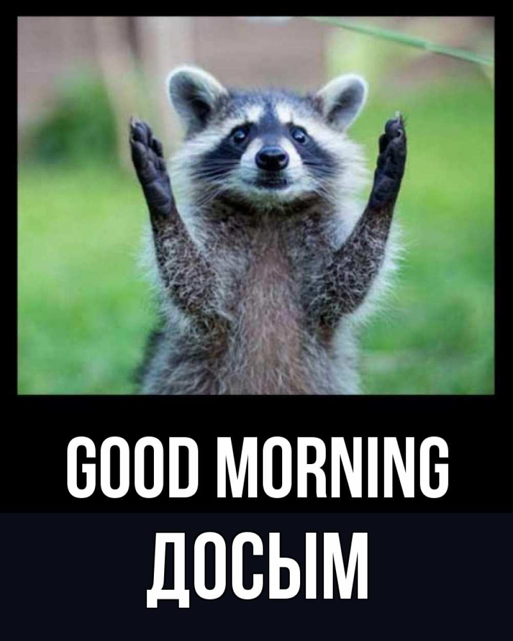 Greetings card с именем, Досым Good morning хорошее настроение утречком Greetings with text for free download 