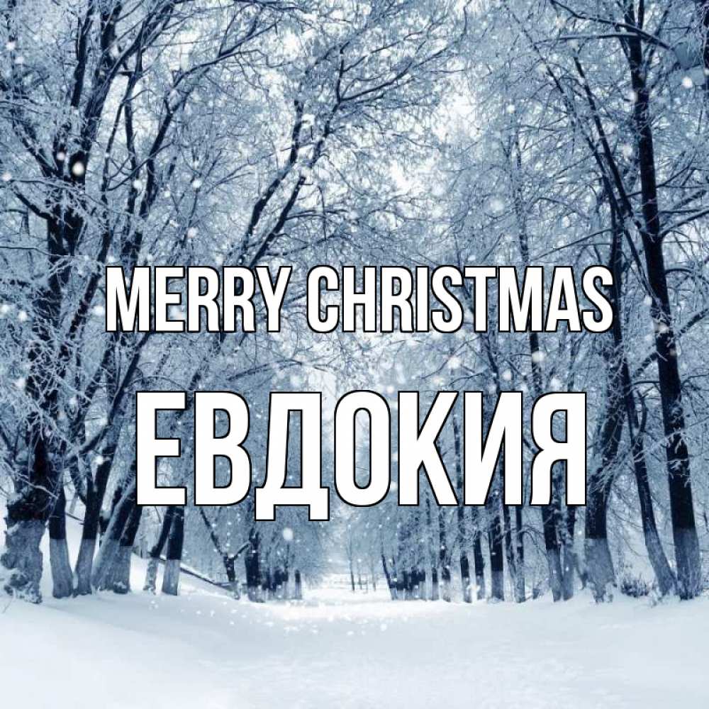 Greetings card с именем, Евдокия Merry Christmas снег, лес, парк Greetings with text for free download 